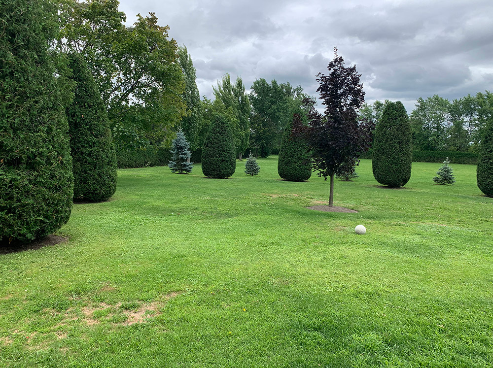 Taille haie à Varennes