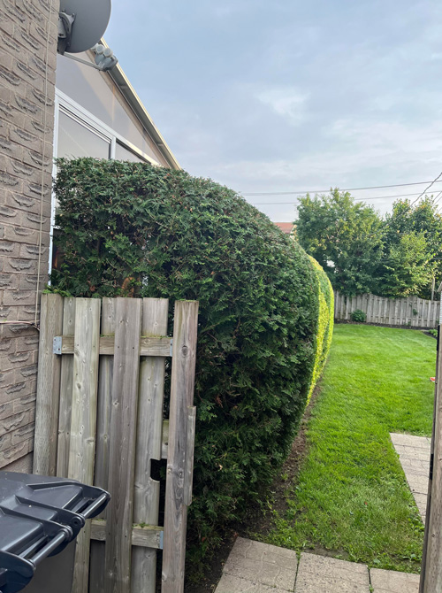 Residential hedge trimming Saint-Hubert