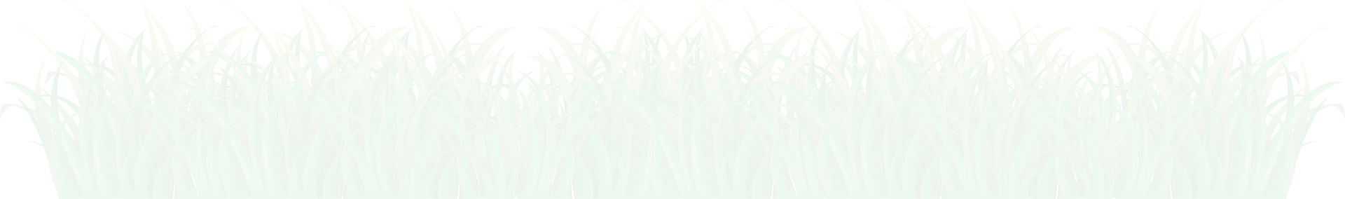 Leaf Png