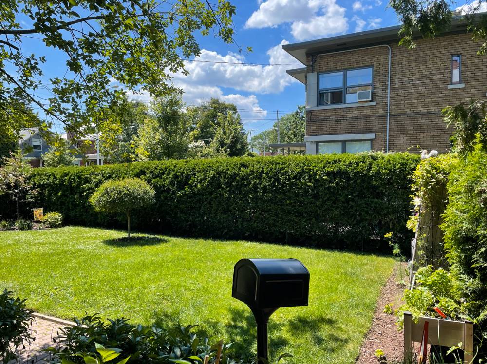 Cedar hedge trimming La Prairie