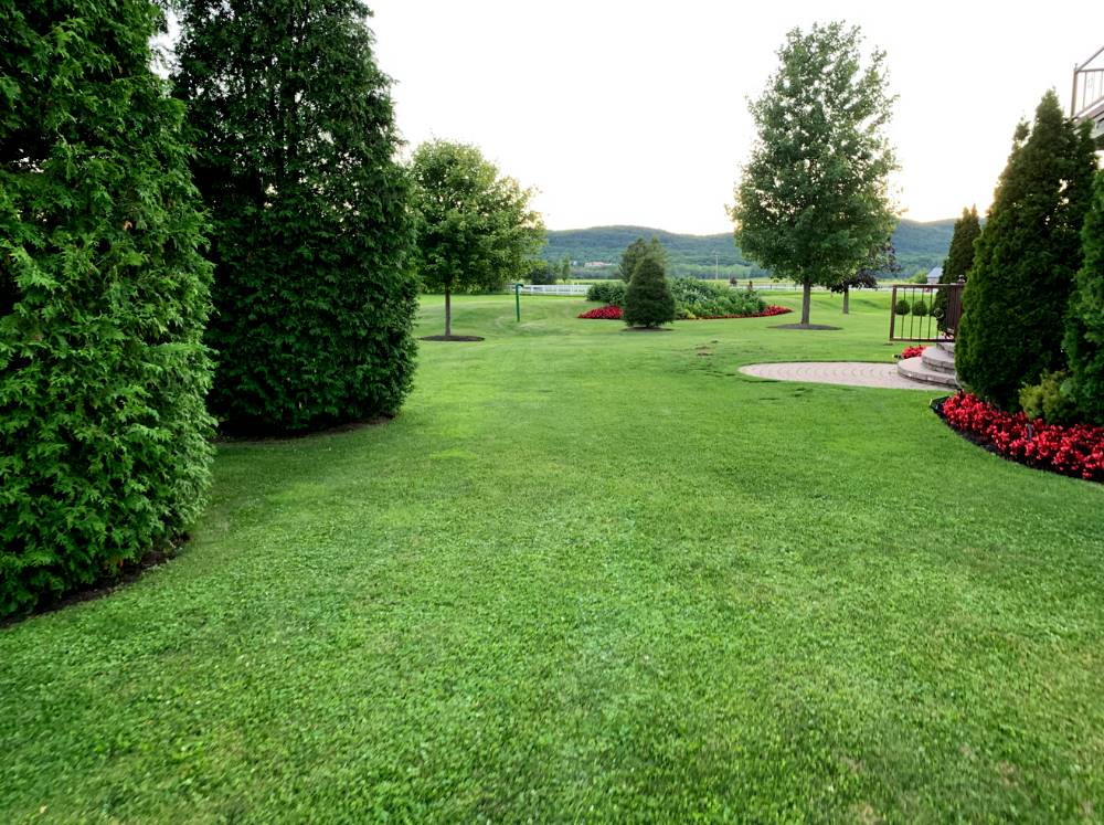 South Shore Hedge trimming