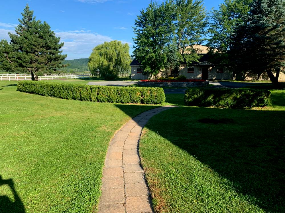 Saint-Bruno Hedge trimming