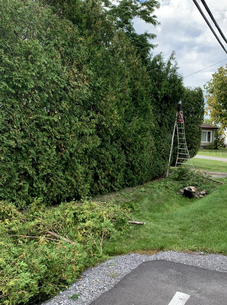 Residential Hedge trimmer Longueuil