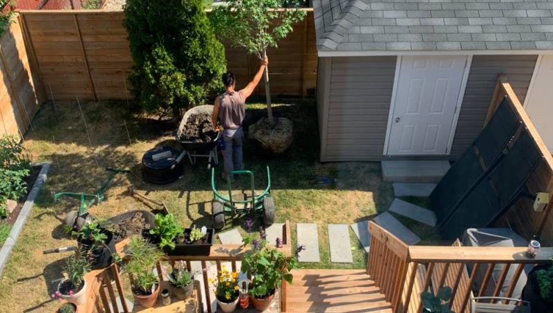 Robi-Taille Hedge trimming